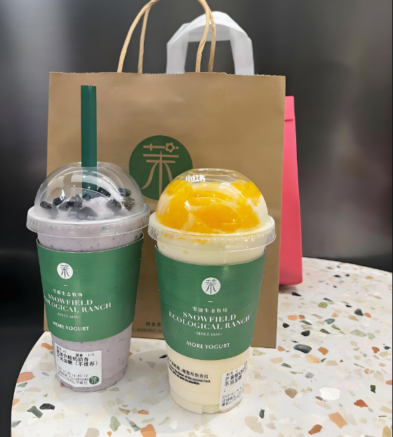 茉酸奶加盟费用